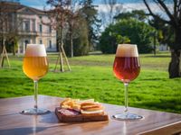 Accostamenti salumi birra
